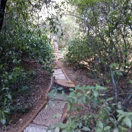 Holiday home La Del Alcornoque *