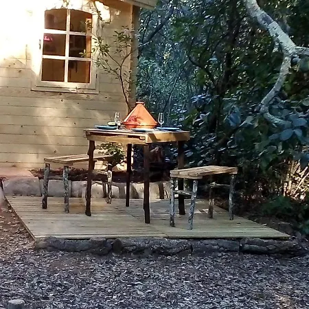 La Del Alcornoque Cordoba