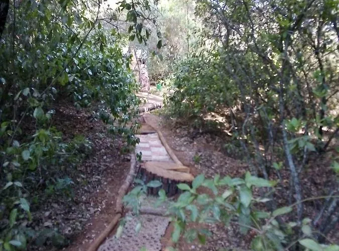 펜션 La Del Alcornoque *