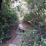 بيت للعطل La Del Alcornoque *