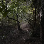 La Del Alcornoque بيت للعطل