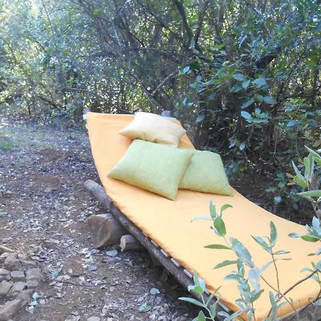 La Del Alcornoque * コルドバ