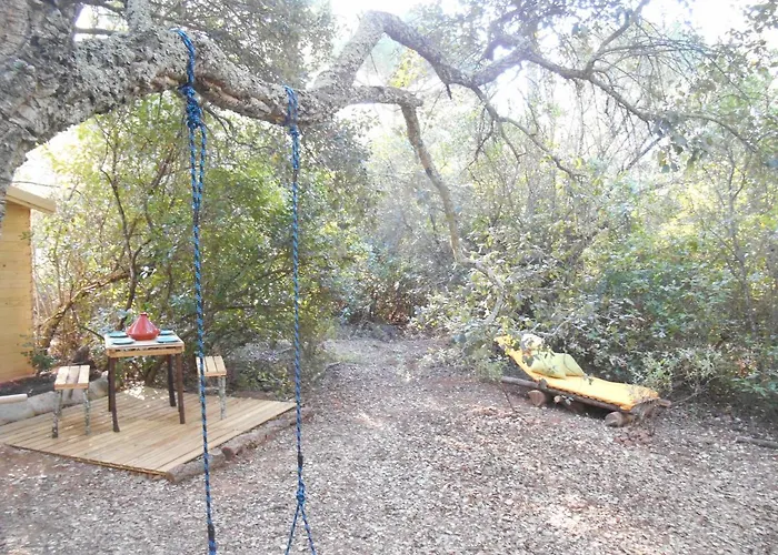 別荘 La Del Alcornoque コルドバ