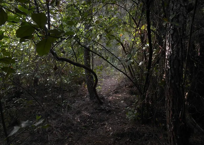 La Del Alcornoque 別荘